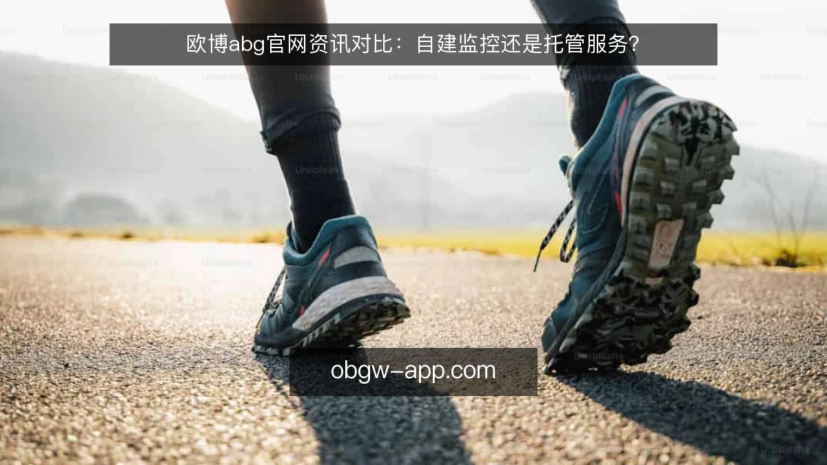 欧博abg官网资讯对比:自建监控还是托管服务?