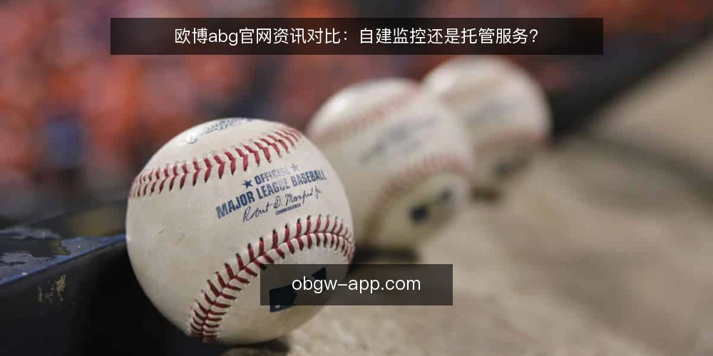 欧博abg官网资讯对比:自建监控还是托管服务? — 为什么现在要审计监控方案 配图