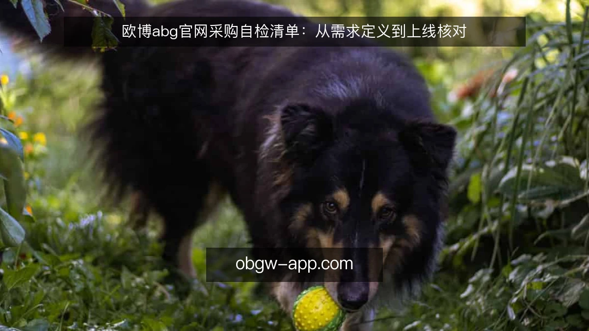 欧博abg官网采购自检清单：从需求定义到上线核对